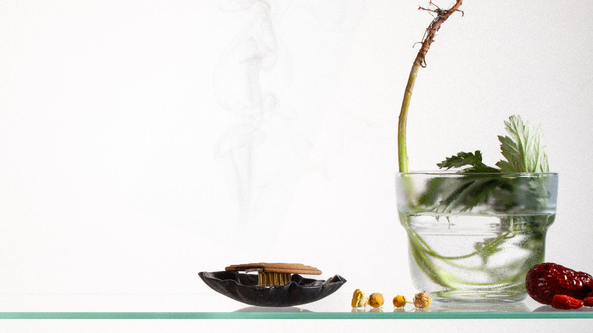 A styled still life on clear glass vanity shelves against a white background, featuring ginger roots, a small black dish with a mugwort incense, scattered red jujube dates, goji berries, and a glass cup containing water and fresh mugwort plant.